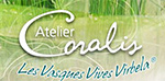 logo michael